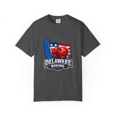 Delaware Boxing T-Shirt — USA Flag Boxing Gloves Graphic Tee