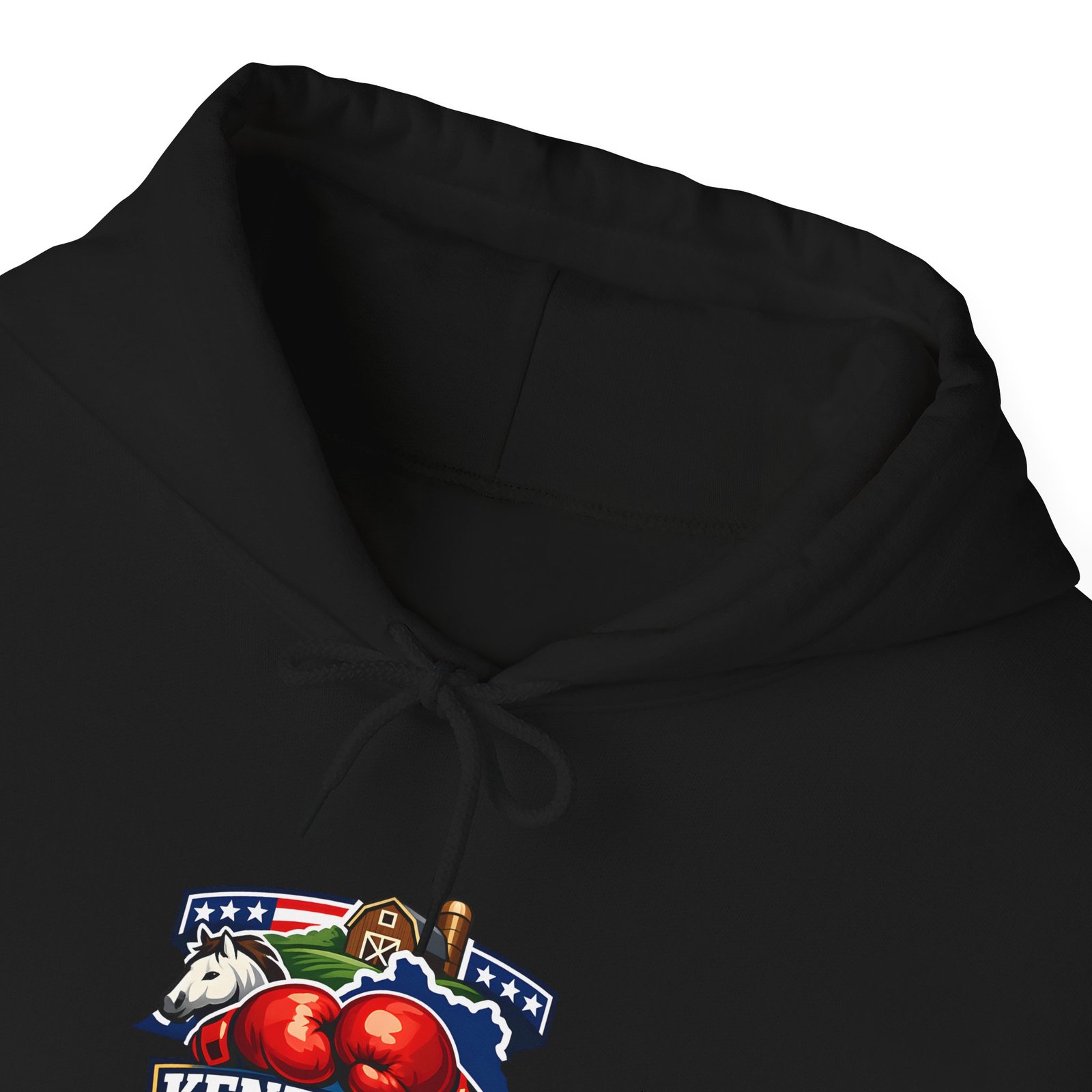 Kentucky BBQ State Pride Hoodie — Retro Grilling Emblem - Image 24